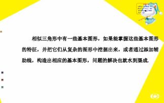 數學中考微型培優專題課五 相似三角形中的基本圖形